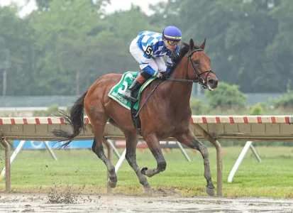 Bracket Buster highlights Derby undercard